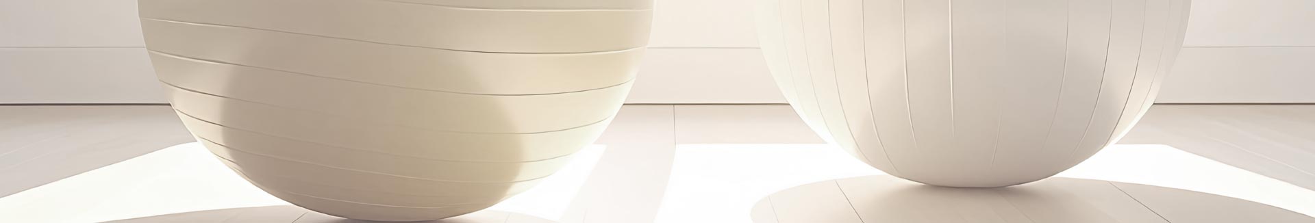 Pilates rehab banner